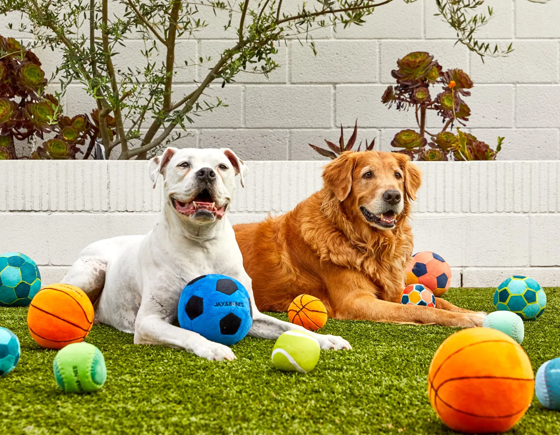 3" Tennis Ball Plush Toy (3 Pack)