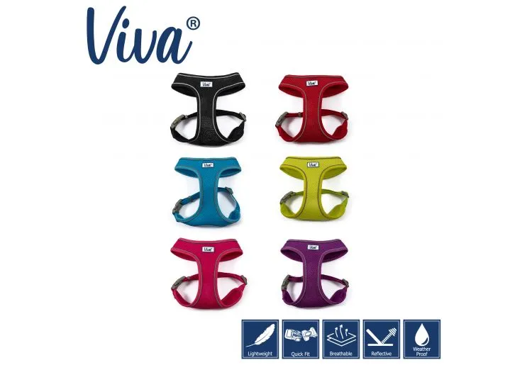 Ancol - Viva Comfort Mesh Harness - Blue - Large (53-74cm)