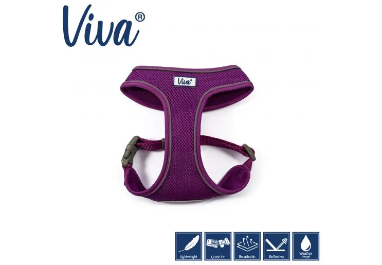 Ancol - Viva Comfort Mesh Harness - Blue - Large (53-74cm)