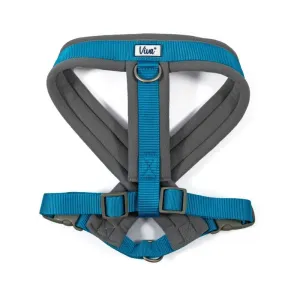 Ancol Viva Large Blue Padded Dog Harness