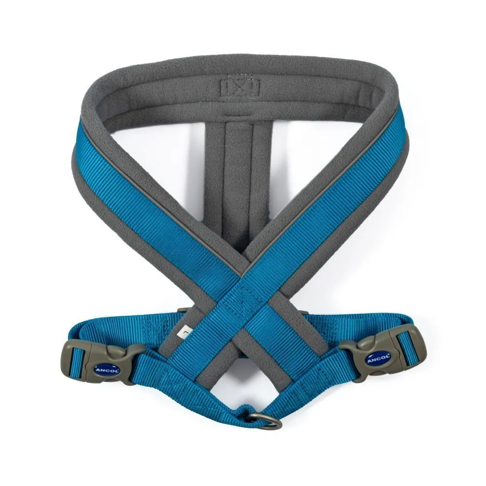 Ancol Viva Large Blue Padded Dog Harness