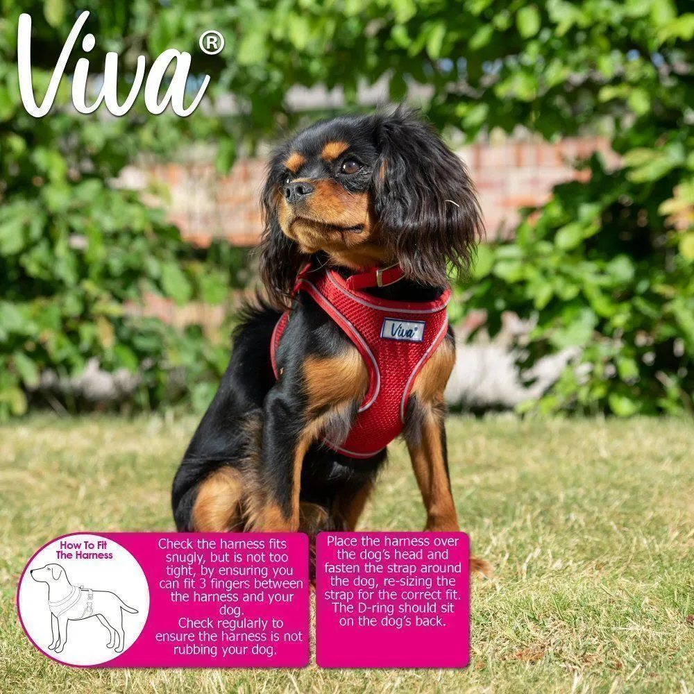 Ancol Viva Large Pink Comfort Mesh Dog Harness