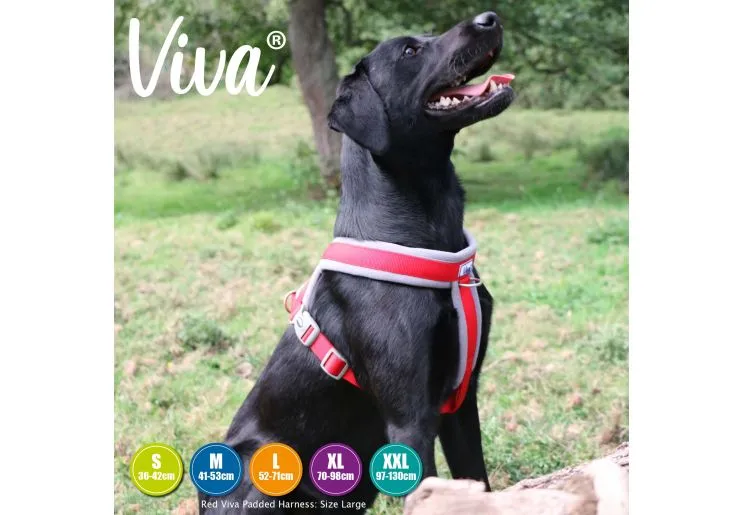 Ancol - Viva Nylon Padded Harness - Black - Small (36-42cm)