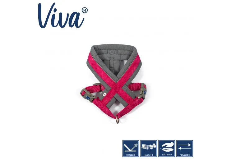 Ancol - Viva Nylon Padded Harness - Black - Small (36-42cm)