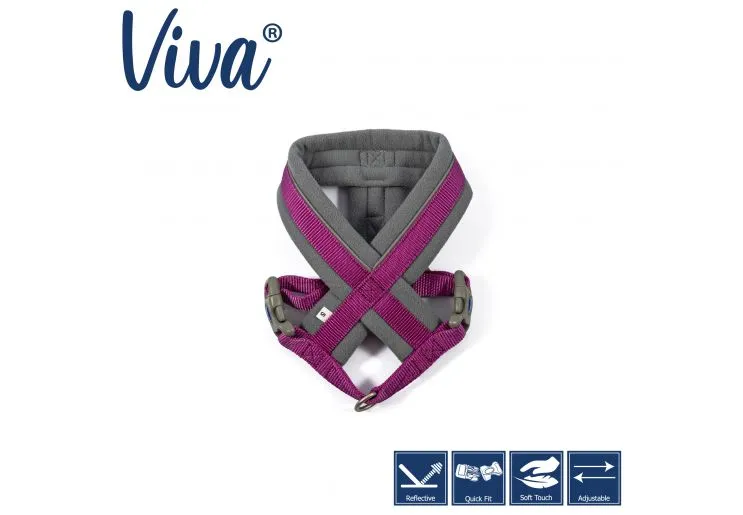 Ancol - Viva Nylon Padded Harness - Black - Small (36-42cm)