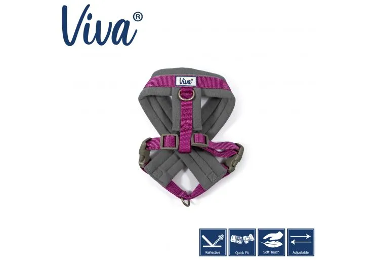 Ancol - Viva Nylon Padded Harness - Cyan - Large (52-71cm)