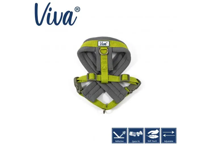 Ancol - Viva Nylon Padded Harness - Cyan - Large (52-71cm)