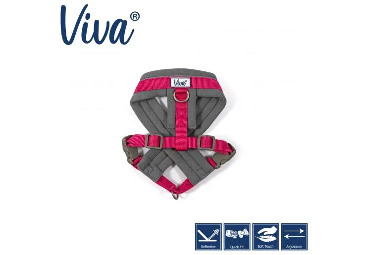 Ancol - Viva Nylon Padded Harness - Cyan - Large (52-71cm)