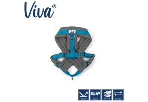 Ancol - Viva Nylon Padded Harness - Cyan - XLarge (70-98cm)