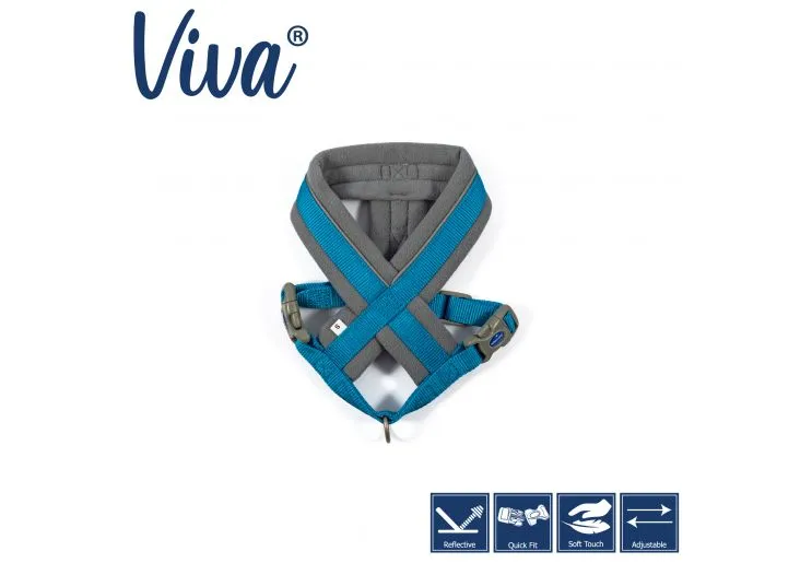 Ancol - Viva Nylon Padded Harness - Cyan - XLarge (70-98cm)