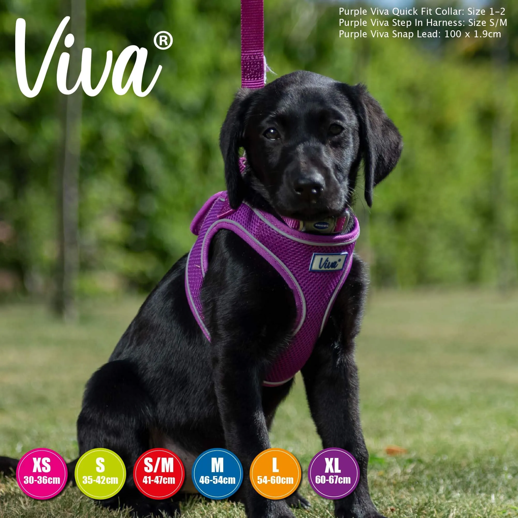 Ancol Viva Step In Comfort Fit Dog Harness