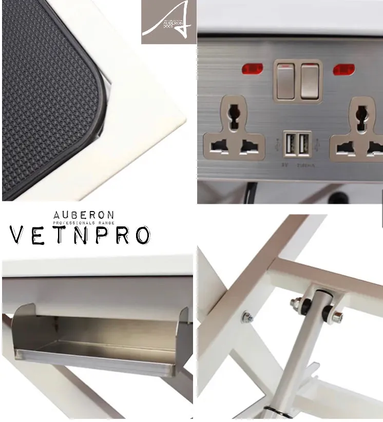 Auberon VetnPro SuperLo Electric Lift Grooming Table •Choose your fave colour! Includes PowerPoints USB Ports   more! 30cm lowest height