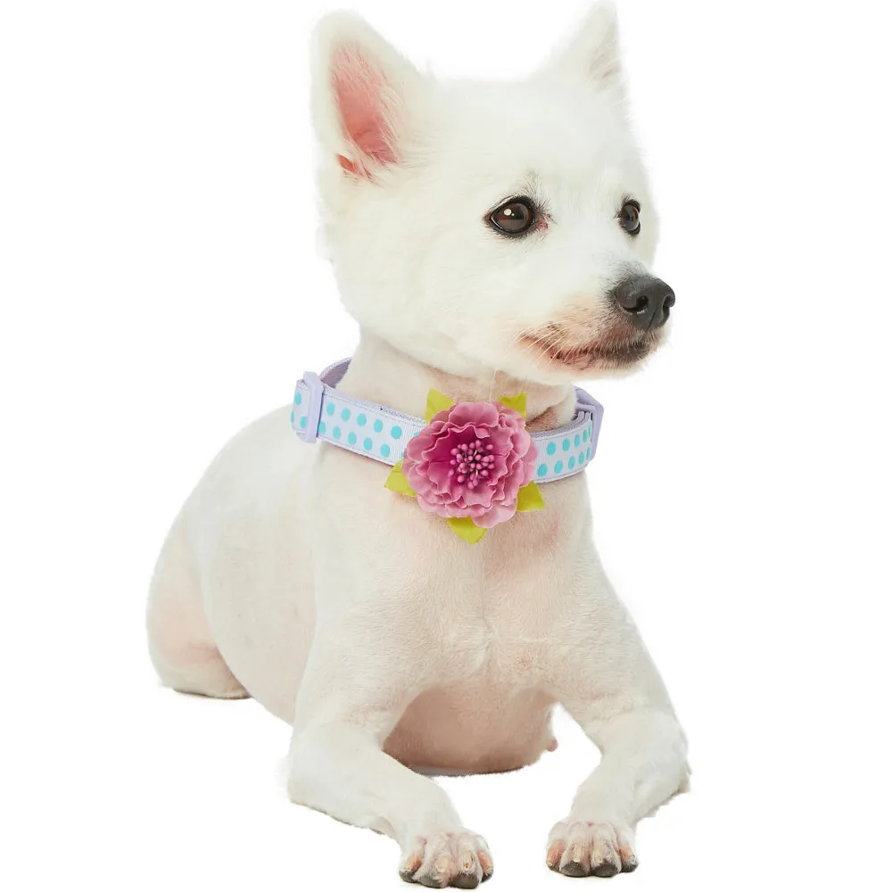 Blueberry Pet Polka Dot Flocking Adjustable Dog Collar, Pastel Purple with Detachable Velvety Flower