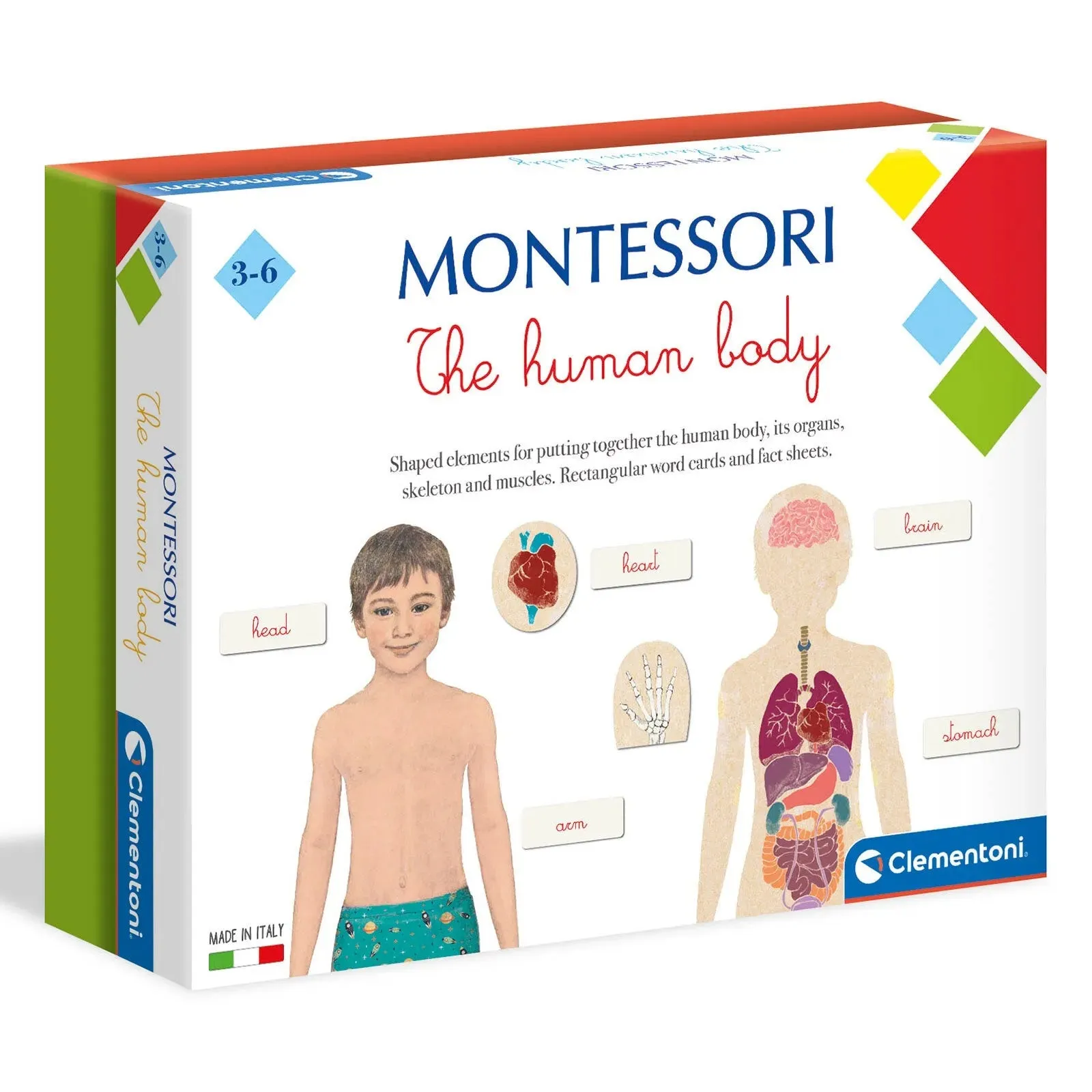 Clementoni Montessori - Human Body