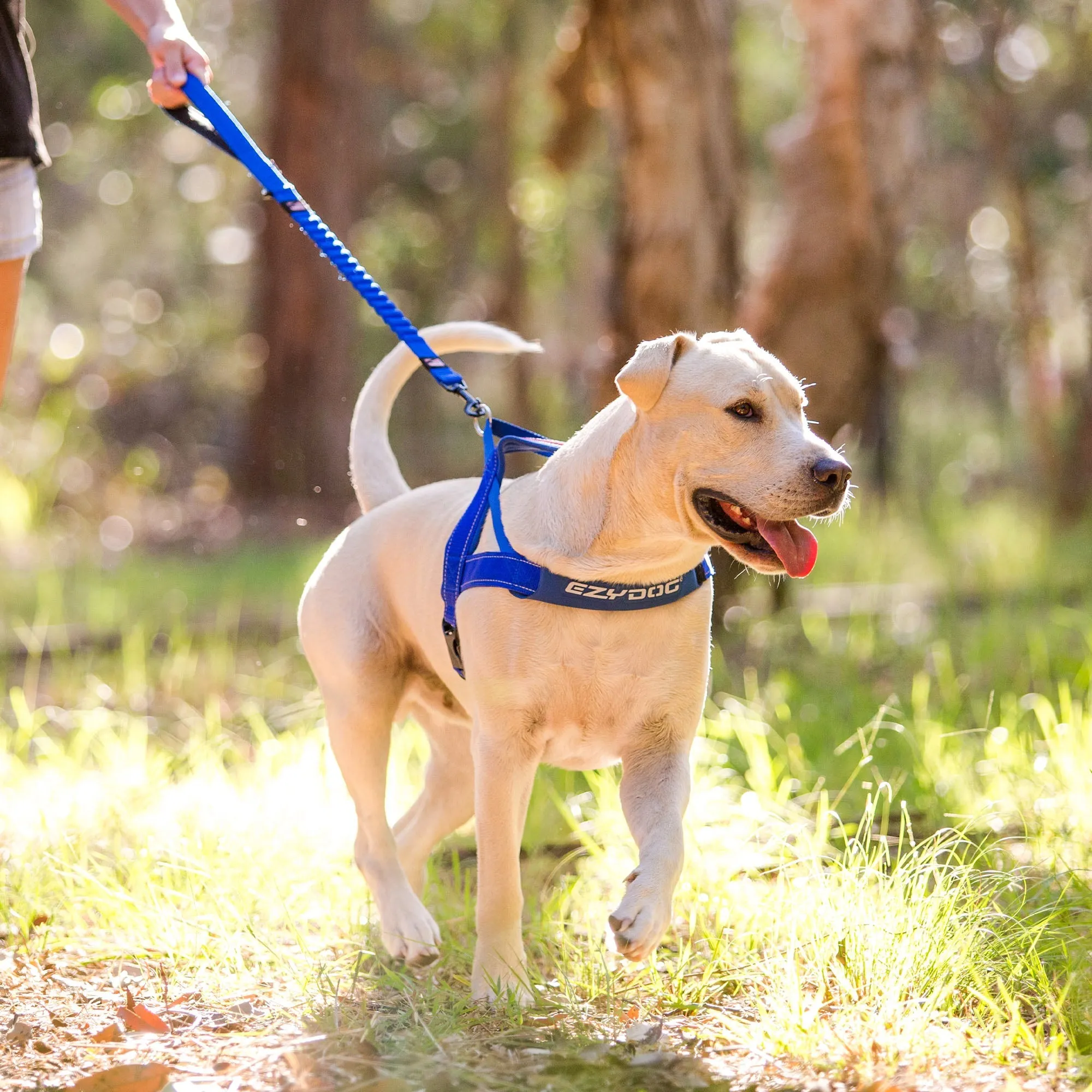 EzyDog Quick Fit Dog Harness - Blue