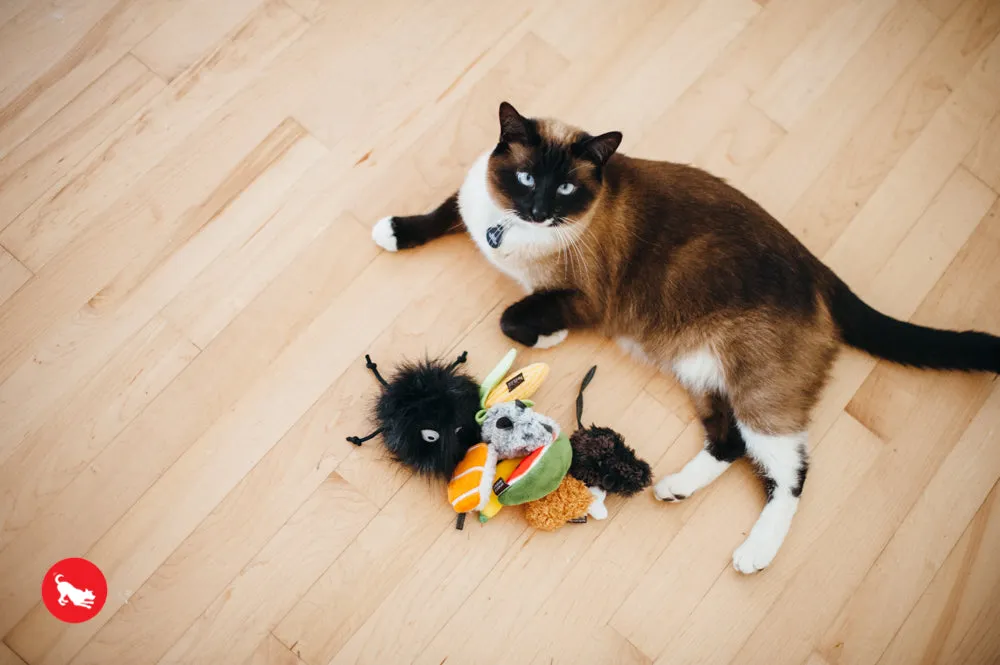 Feline Frenzy, Cat Toy set: Perfect Picnic