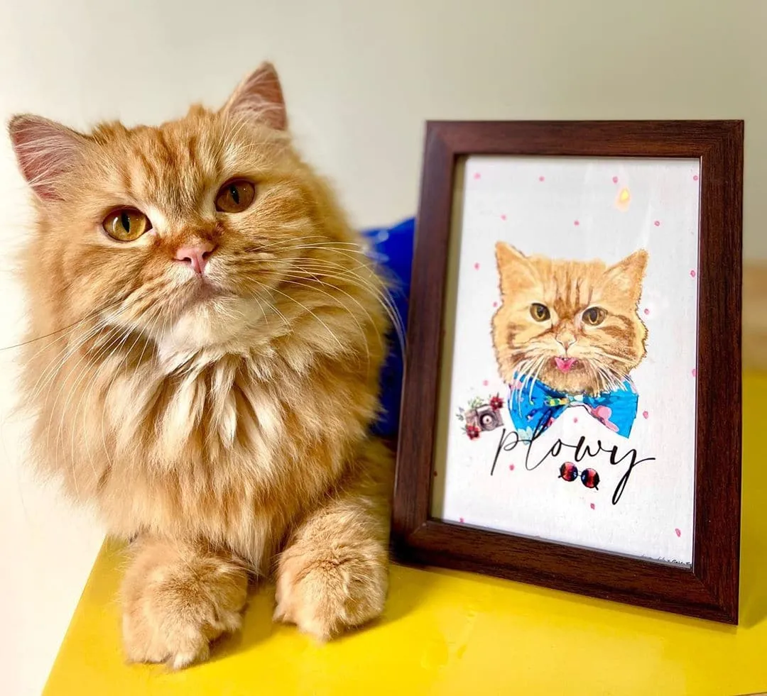 GoofyBox for Cats and Kittens with Portrait | Personalised Curated Supplies and Personalised Portrait