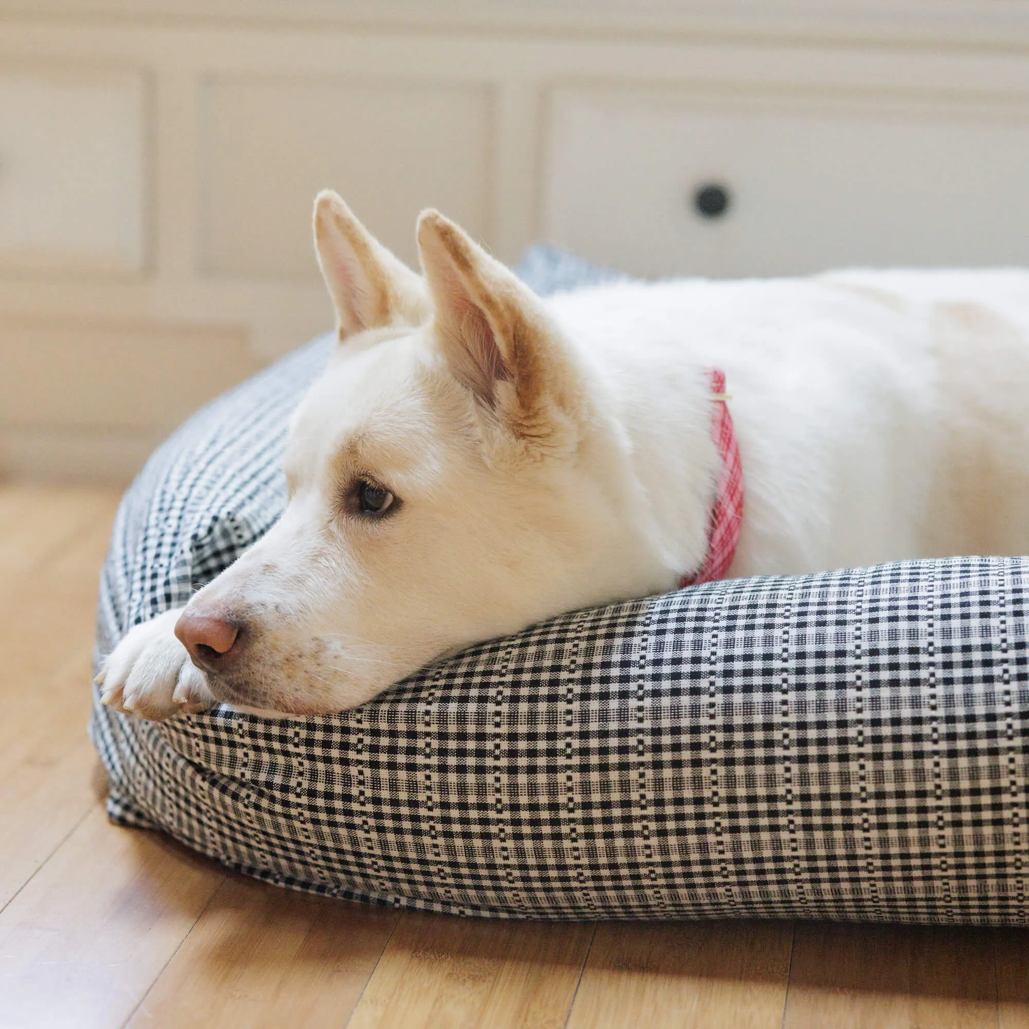 Heather Taylor Home x TFD Soho Black Bolster Dog Bed