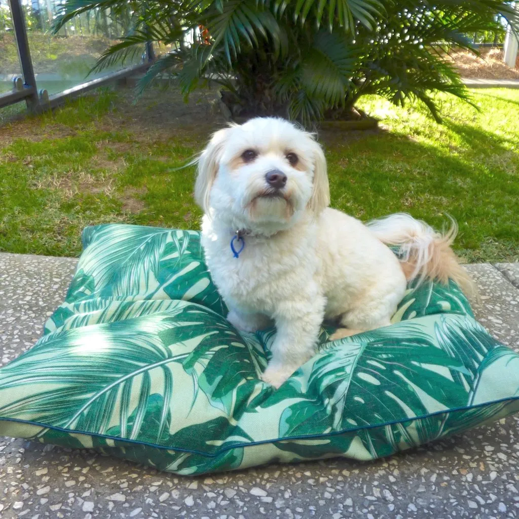 Indie ECO Pet Bed - Tropical Leaves