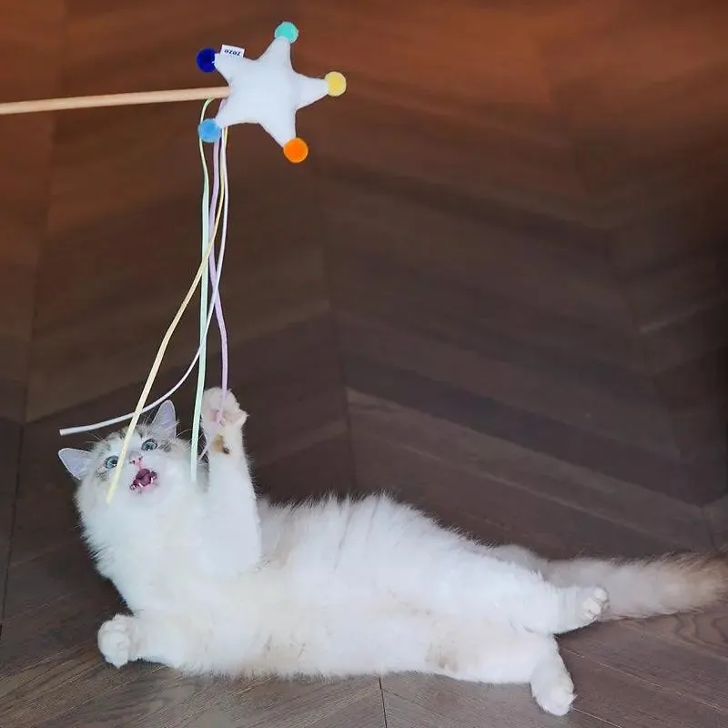 Interactive Starry Sky Cat Wand Toy for Engaging Playtime