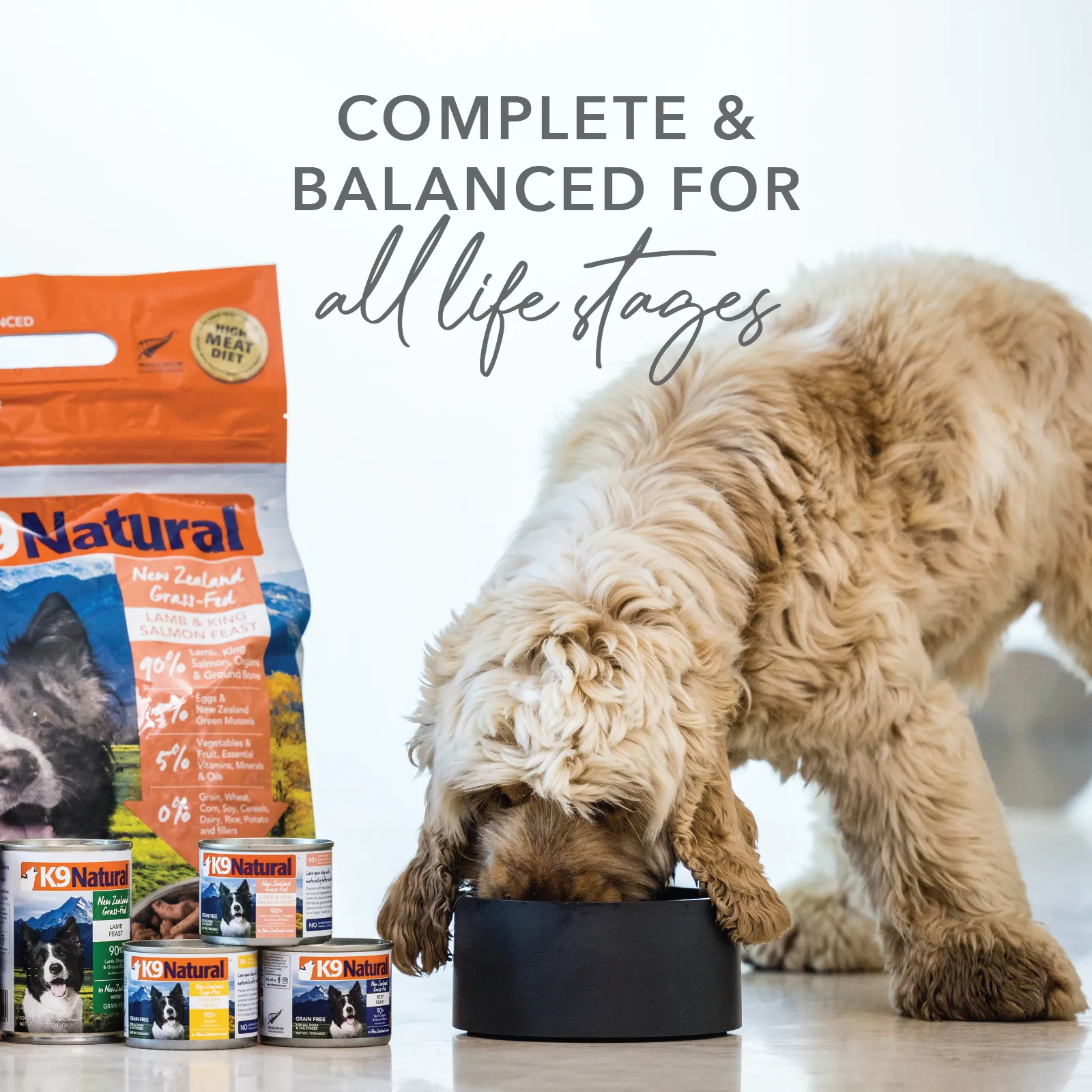 K9 Natural BPA Free & Gelatin Free Canned Dog Food Chicken