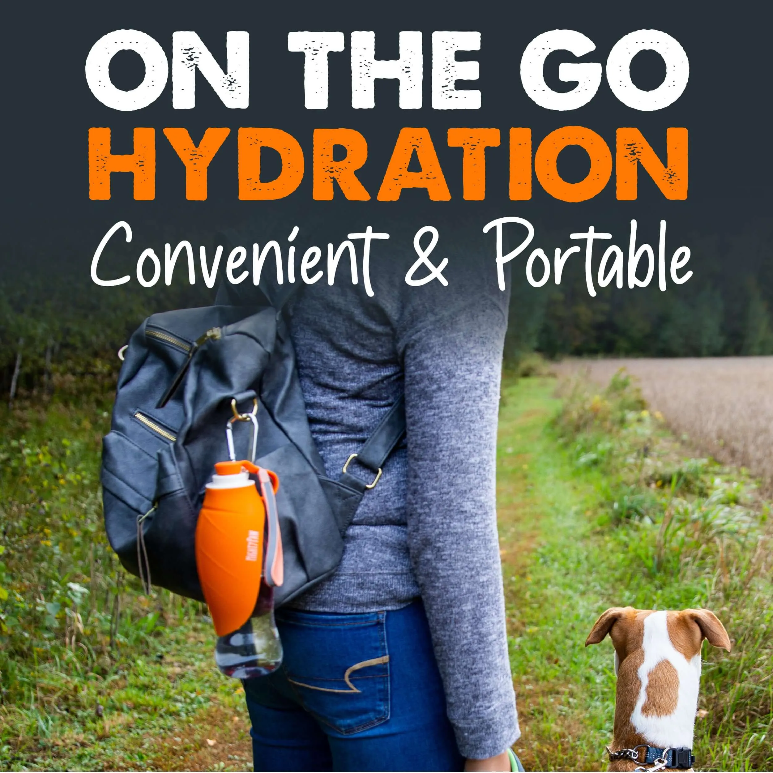 Keep Your Pup Hydrated on the Go with Mighty Paw Travel Dog Water Bottle