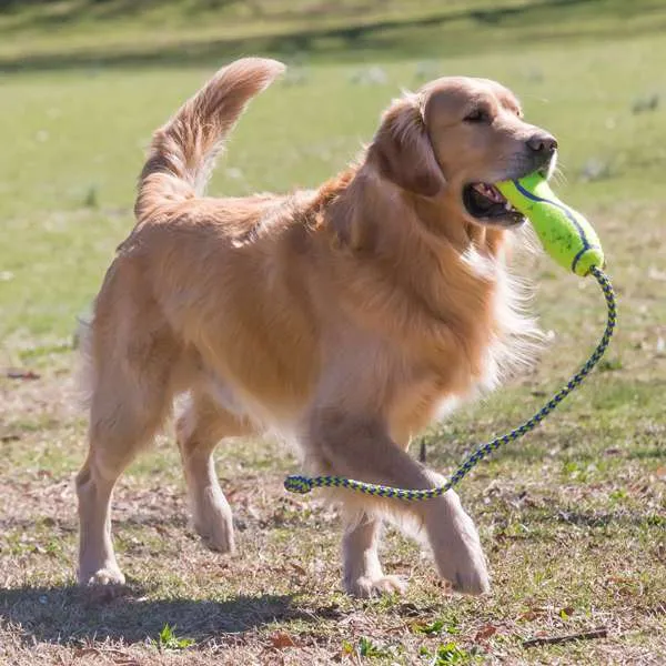 KONG Air Fetch Stick On Rope