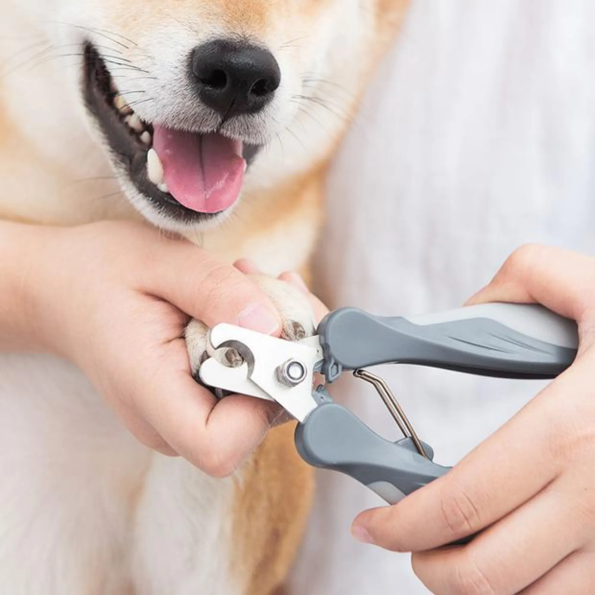 Pakeway T9 Dog Nail Clippers