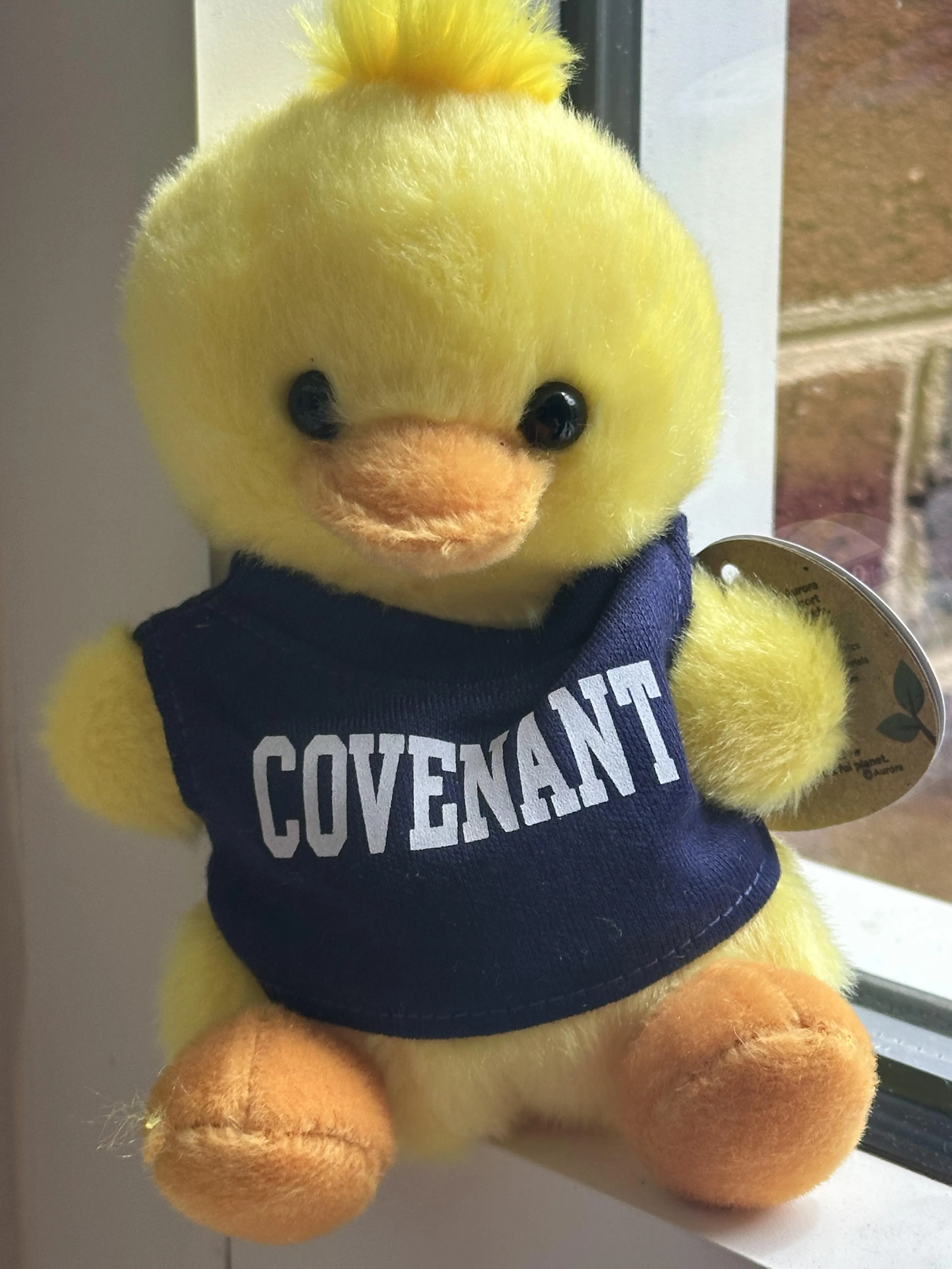 Plush Toys - Covenant