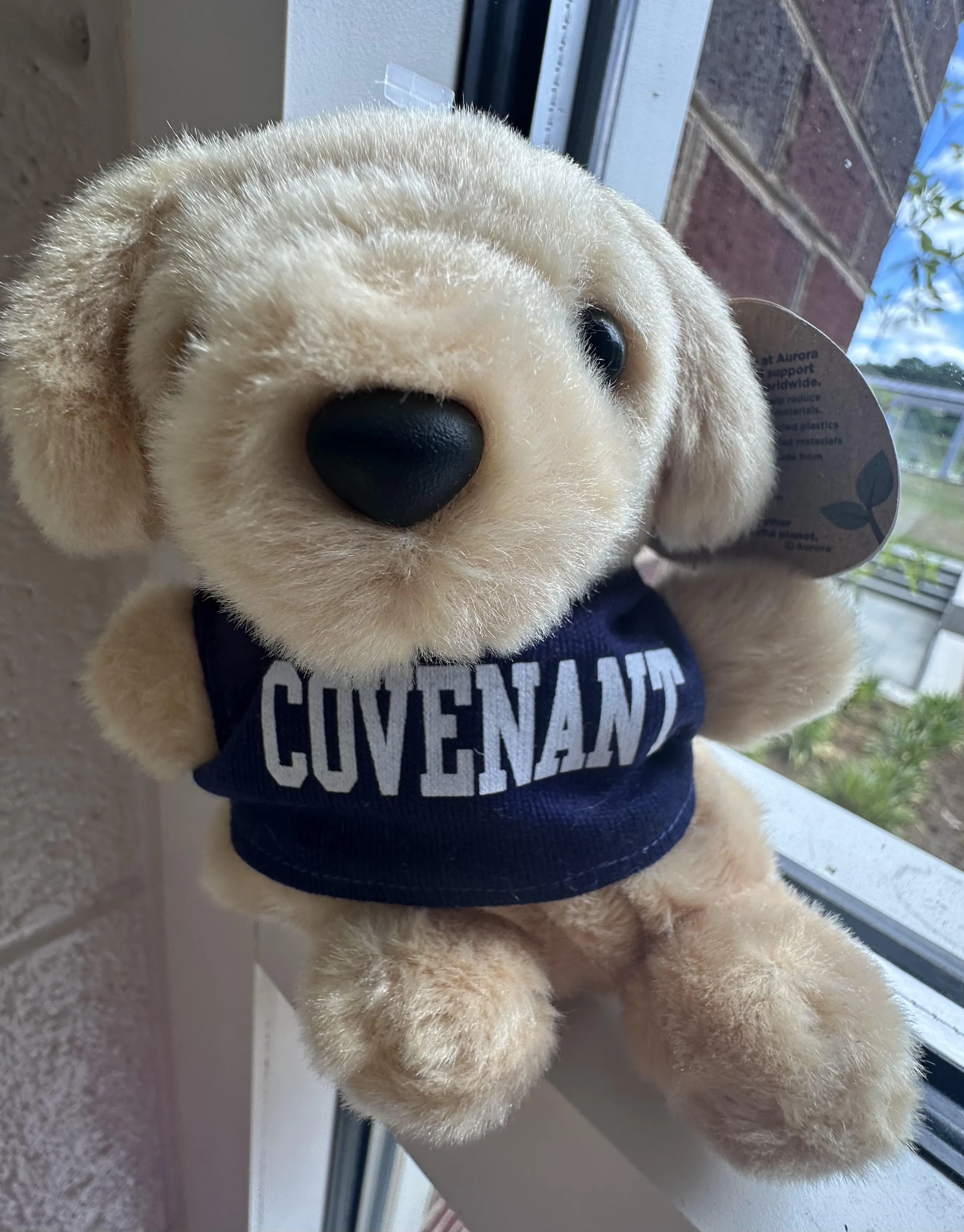 Plush Toys - Covenant