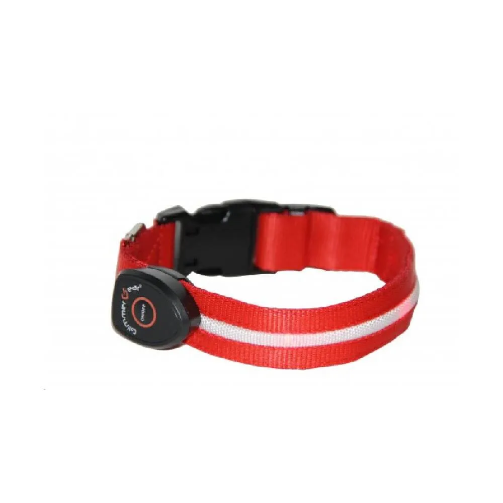 Rechargeable Light Up Dog Collar by Glimmer Gear