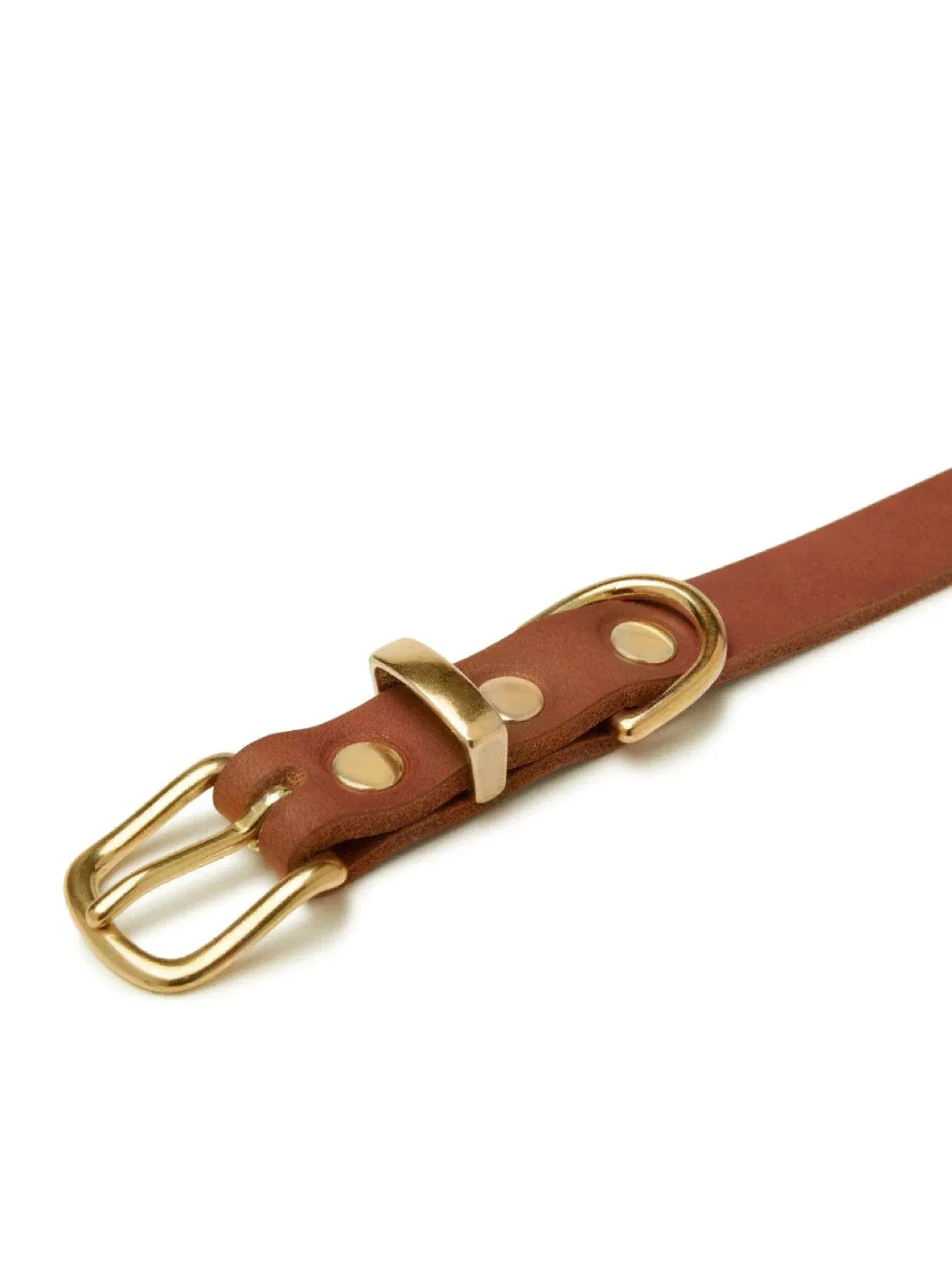 [SAHARA COGNAC] BUTTER LEATHER DOG COLLAR