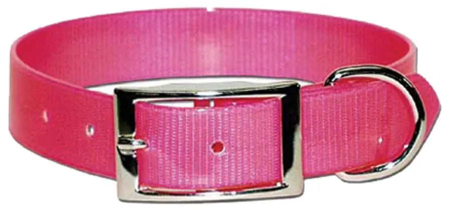 Sunglo Dog Collars