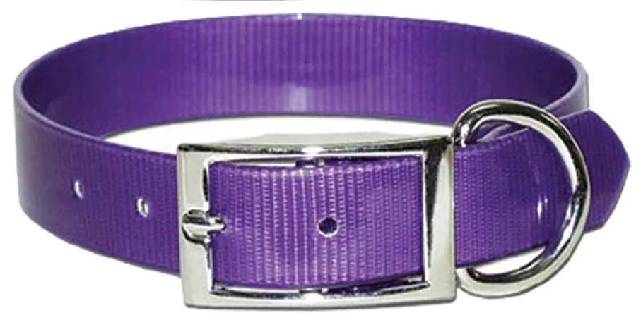 Sunglo Dog Collars